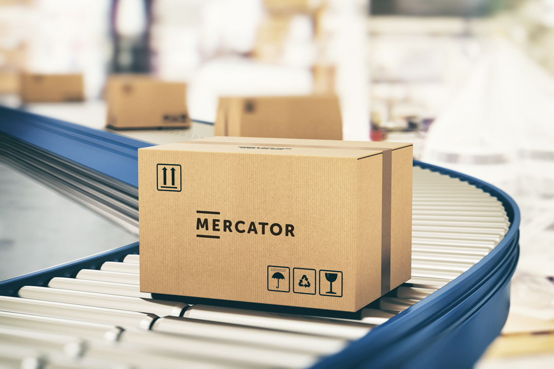 Composición del Grupo Mercator Medical