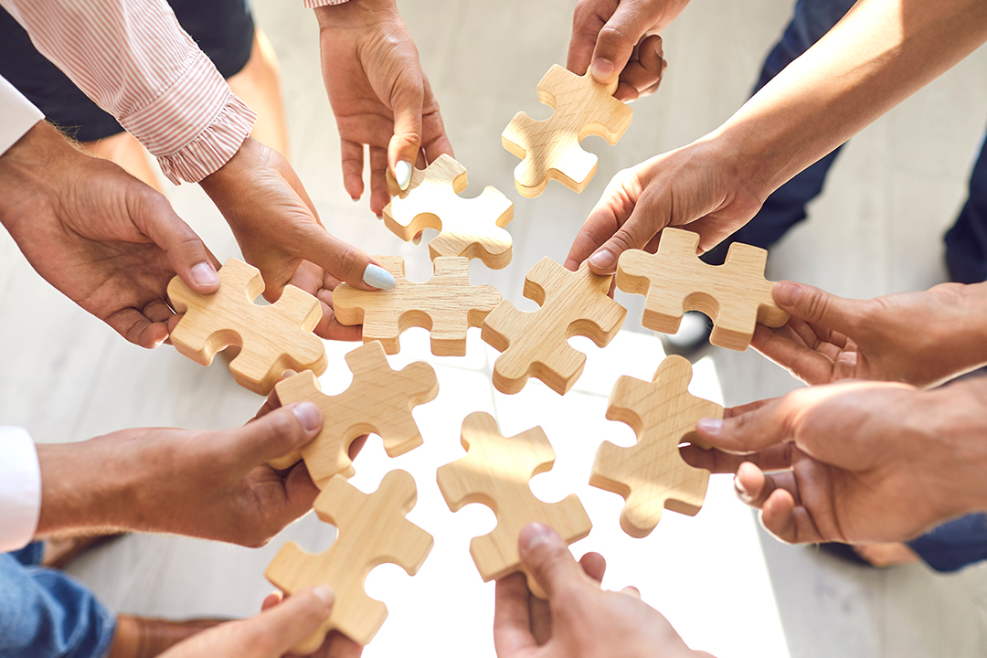 Estructura del grupo